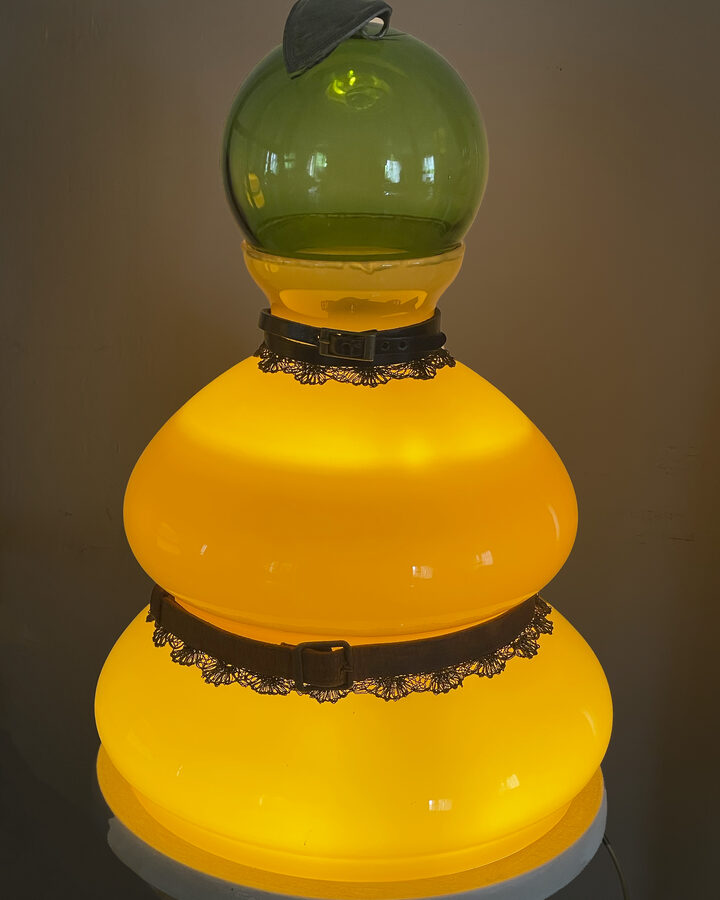 Lumineuse Joséphine — Résistante, 1939-1944